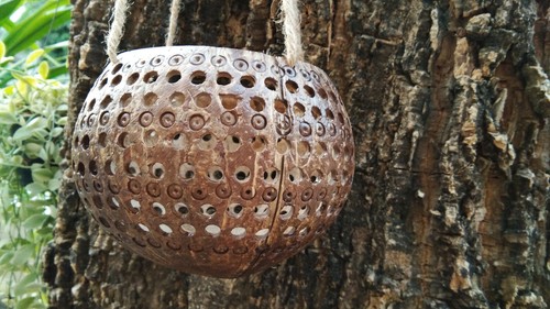 coconut shell hanging pot set3 orchid planter flower basket retro balcony decor - Picture 14 of 18