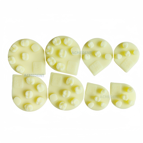 24# Dental Columbia Modelo Compuestos de Resina Molar Restaurar Kilgore Nissin Examen ADC - Imagen 3 de 3