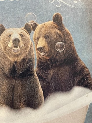 Letrero de metal de baño de oso cartel de metal divertido pared de baño 1959 lava tus patas - Imagen 6 de 7