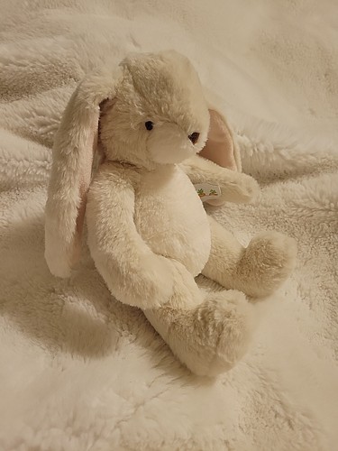 BUNNIES BY THE BAY Floppy NIBBLE CREAM Plush Bunny Fast Shipping  - Picture 1 of 11