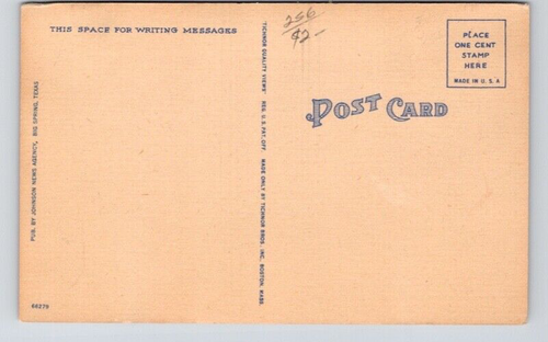 POSTCARD COMIC GIRL ON HORSE ROPING - Picture 2 of 2