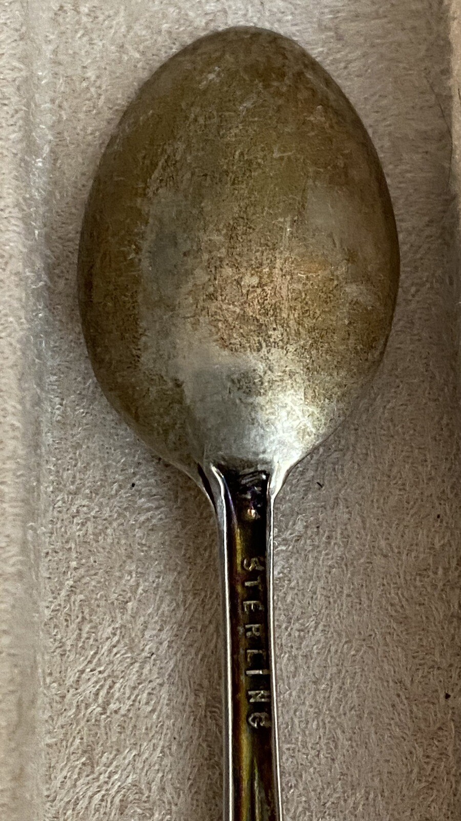 Foto 11 di 16