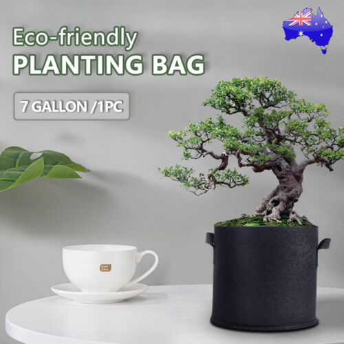 Up to 10 Plant Grow Bag Potato Fabric Pots Grow Bags Handles 3 5 7 10 Gallon AU - Picture 20 of 25