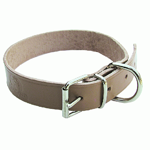 Collier pour Chien en Cuir sans Doublure Largeur MM 25 Poumon CM 51 - Picture 2 of 2