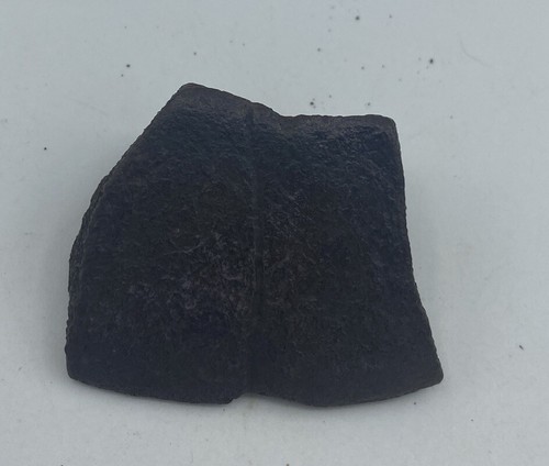 Fossilized Turtle Shell Fragment from Florida, Pleistocene Epoch T2 - Picture 1 of 4