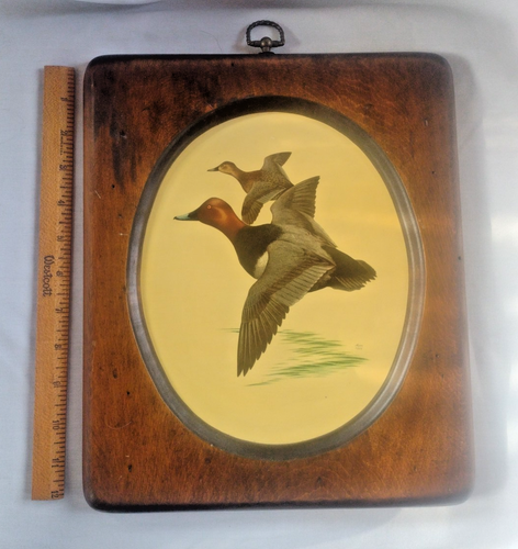 Two John Murr Wildlife Pictures Wood Frames - Picture 3 of 13