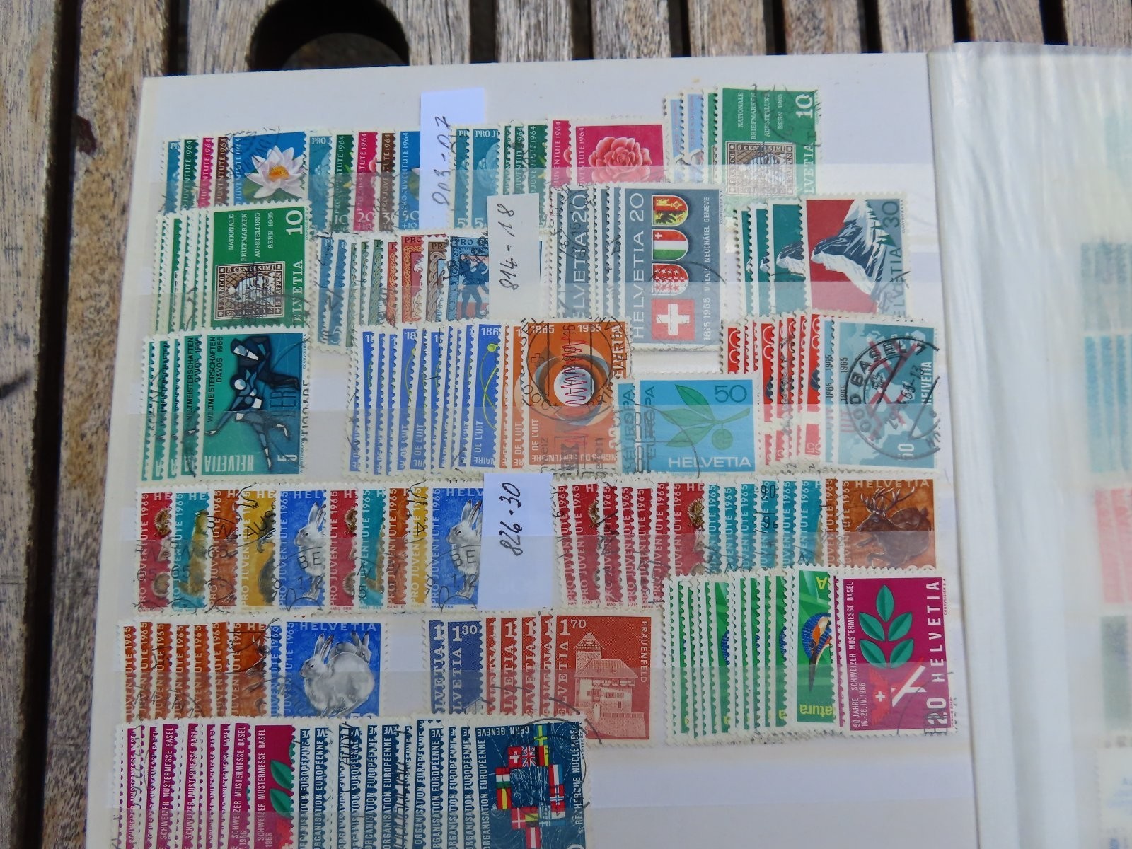 Bild 12 von 20