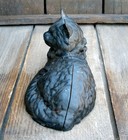 Bild 6 von 10