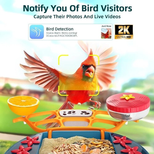 Bird Buddy Smart Vogelfutterhaus mit Kamera Solarbetriebenes Solardach - Neu - Bild 2 von 6