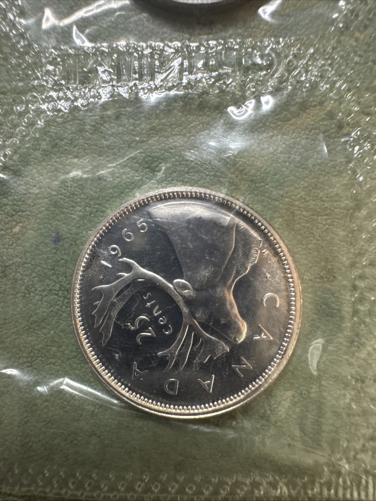Picture 5 of 15