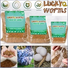 Bulk Dried BSF Mealworms for Wild Birds Food Chickens Hen Fish Treats Food Lot 