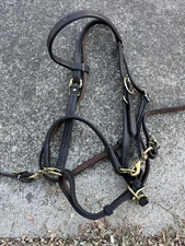 Halter/Bridle Combo Nice Leather 