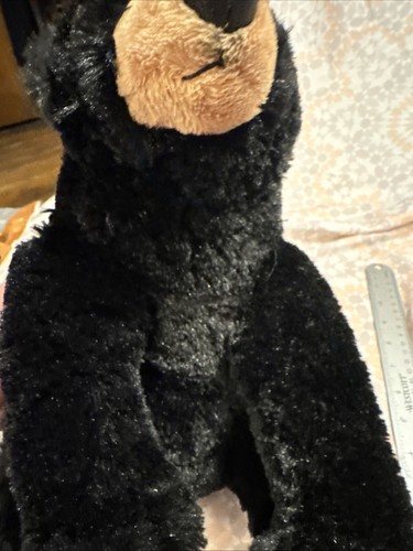 12” Aurora Black Bear Bean Plush (Sitting Position) With Tan Markings - Picture 11 of 18