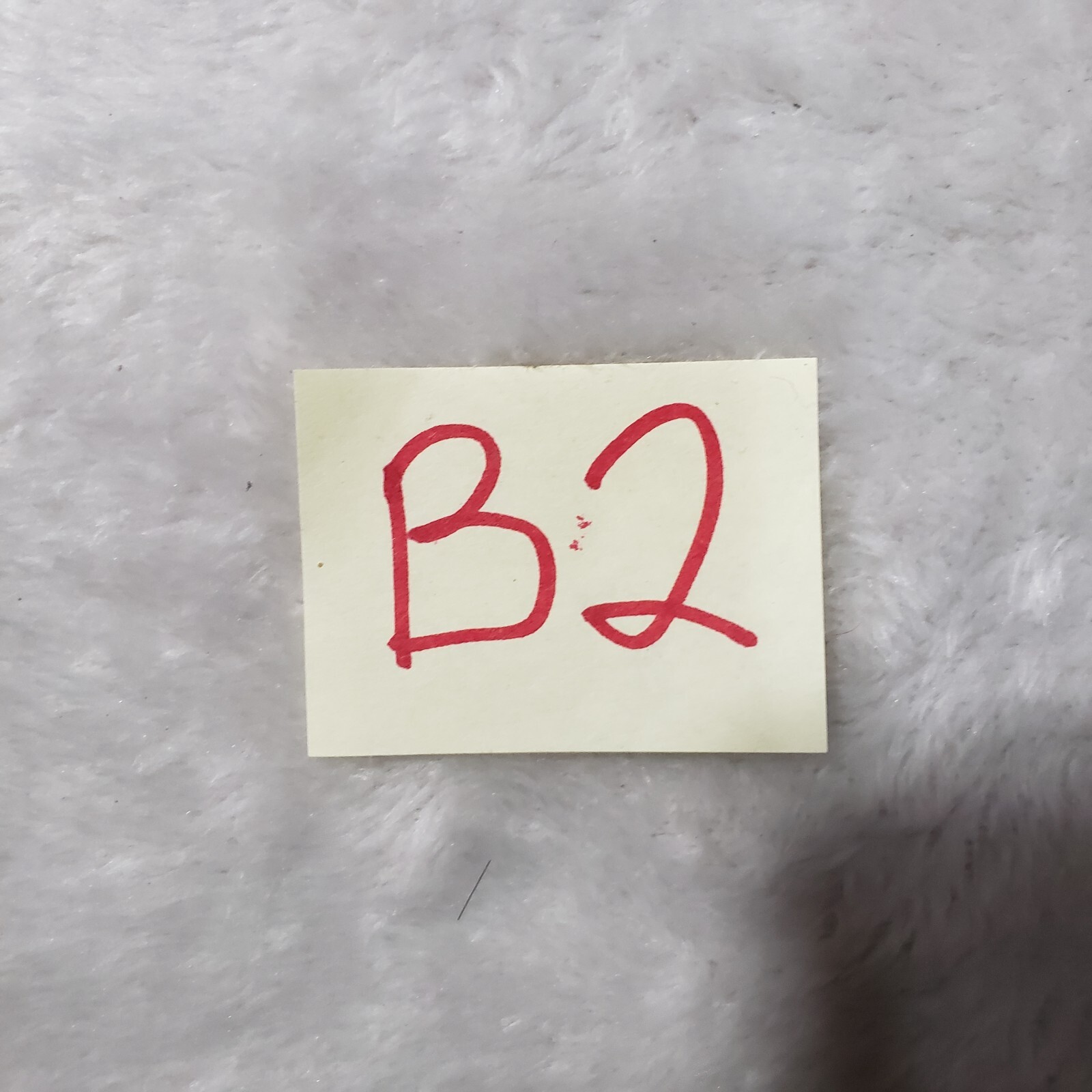 Foto 8 di 8