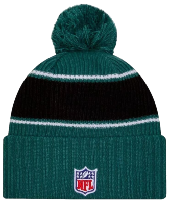 PHILADELPHIA EAGLES NFL NEW ERA OFFICIAL ON FIELD SIDELINE  display picture 3