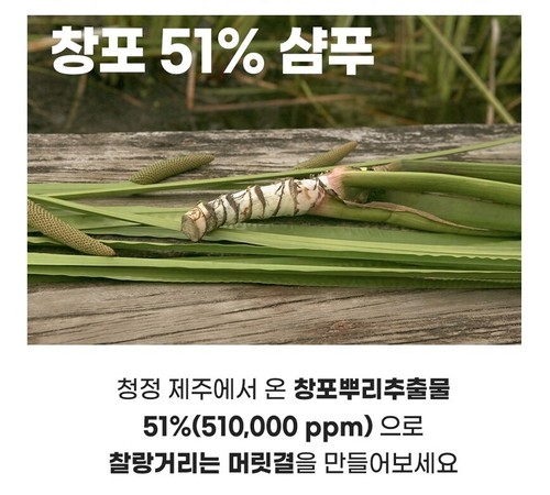 BBP Calamus Haarausfall Pflege Shampoo 500ml große Größe sicher natürliche koreanische Haarpflege - Bild 8 von 11