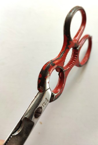KLAAS SOLINGEN VINTAGE VIELZWECK/KRÄUTERSCHERE KÜCHENHILFE ROSTFREI GEBRAUCHT - Bild 9 von 12