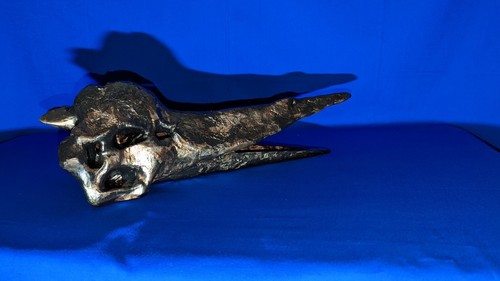18 Inch Pteranodon Skull Dinosaur Fossil Bone Replica 3d Printed Hand Painted - Picture 7 of 14