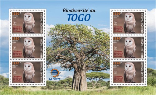 TOGO 2024 MS 6V - REG & OVPT - BARN OWL OWLS BIRDS BIRD - MNH - Picture 3 of 3