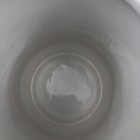 Picture 5 of 8