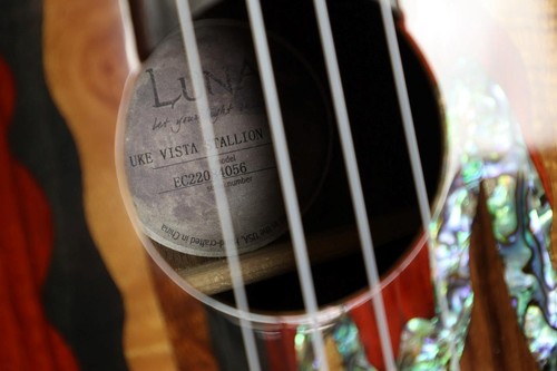 Luna Vista Stallion Tropical Woods Concert Ukulele Uke Acoustic Electric Guitar - Picture 10 of 11