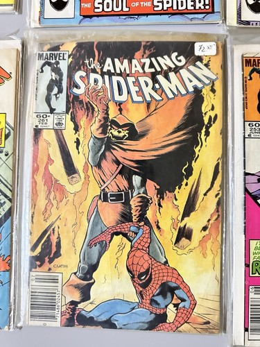 Lote de cómics de Marvel Amazing Spider-Man #239 244 251 253 261 269-270 273-276 - Imagen 5 de 13
