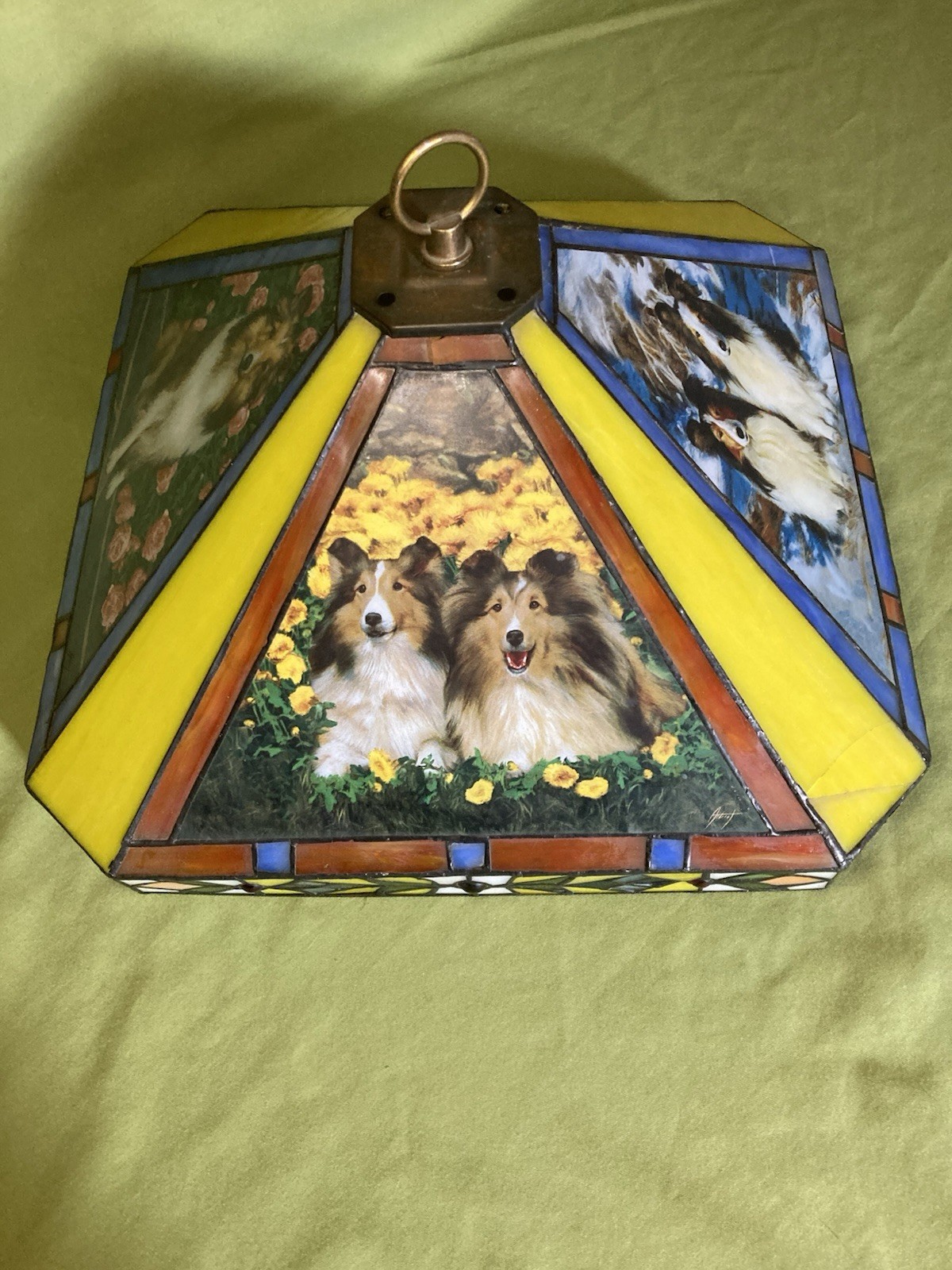 Picture 5 of 13