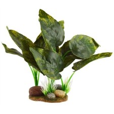 RA UNDERWATER TREASURES Marble Pothos
