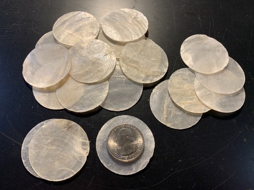 1.5" Round Capiz Shells 20 pcs. Seashells Windowpane Oyster Free Ship! - Picture 2 of 2