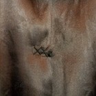 Bild 8 von 12