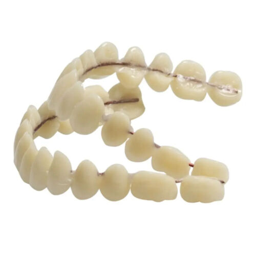 28 Stück Harz Zahnersatz Falsche Zähne Machen Sie Ihre eigenen Verbessern Sie Lächeln Dental Zähne... - Bild 8 von 24