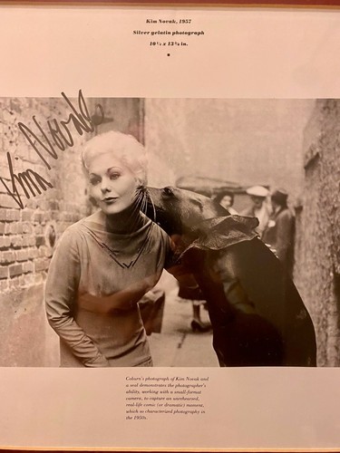 Fotografia firmata a mano Kim Novak incorniciata e opacizzata - Foto 2 di 2