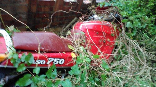 DUCATI Garden find.. PROJECT - Picture 7 of 11