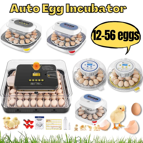 12/18/24/56 Egg Incubator for Chicken Eggs Automatic Egg Turning 360° View Gift