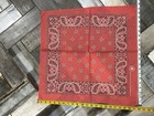 Foto 10 di 16