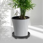 1 Satz Pflanzgefäßhalter, rollender Pflanzwagen mit Rädern, Pflanzenständer,