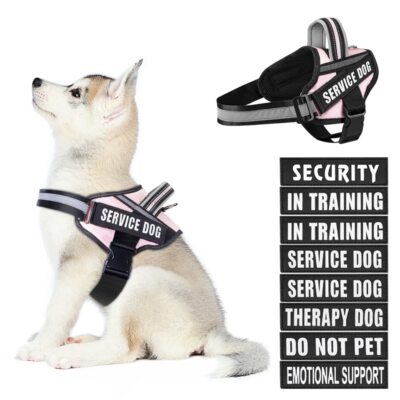 Dog Vest Harness and Patches Set in Training Service Dog Harness with 10 Dog ...