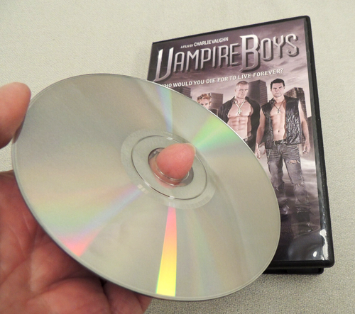 Vampire Boys Erster Film in Serie (DVD 2011 - Reg 1) Selten OOP LGBTQ+ US Horror - Bild 6 von 6