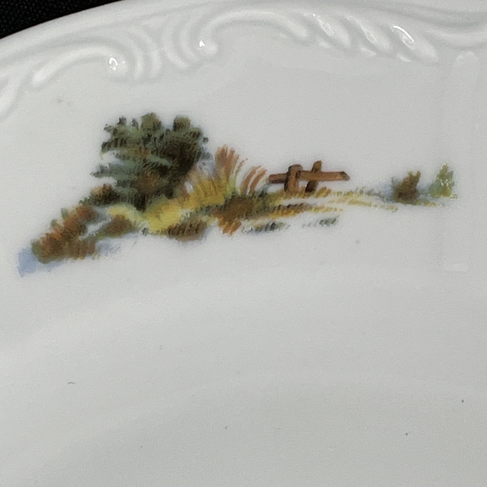 Picture 6 of 8