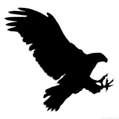 ◡̈*✧Eagle Eagle Raptor Hawk - Decal Sticker - Multiple Colors & Sizes