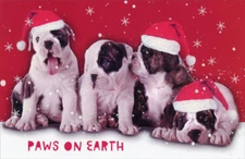 Paws on Earth Puppies American Greetings Christmas Card