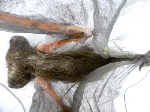 Creepy Hairy Red-Eyed Halloween Bat with Wire Hanger - Picture 12 of 12