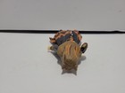 Foto 5 di 6