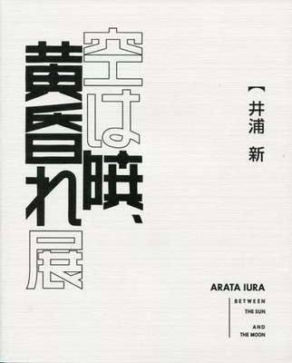 #ad #ad Sky Is Dawn Twilight Art Catalog Pamphlet Sculpture Forest Museum Used $47.93