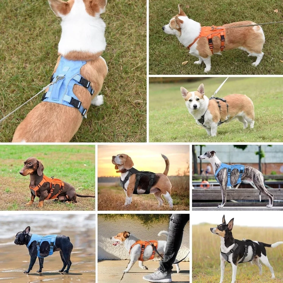 Escape Proof Dog Harness,Reflective Dog Harness No Pull with Padded Handle,Adjus - Image 3 of 4