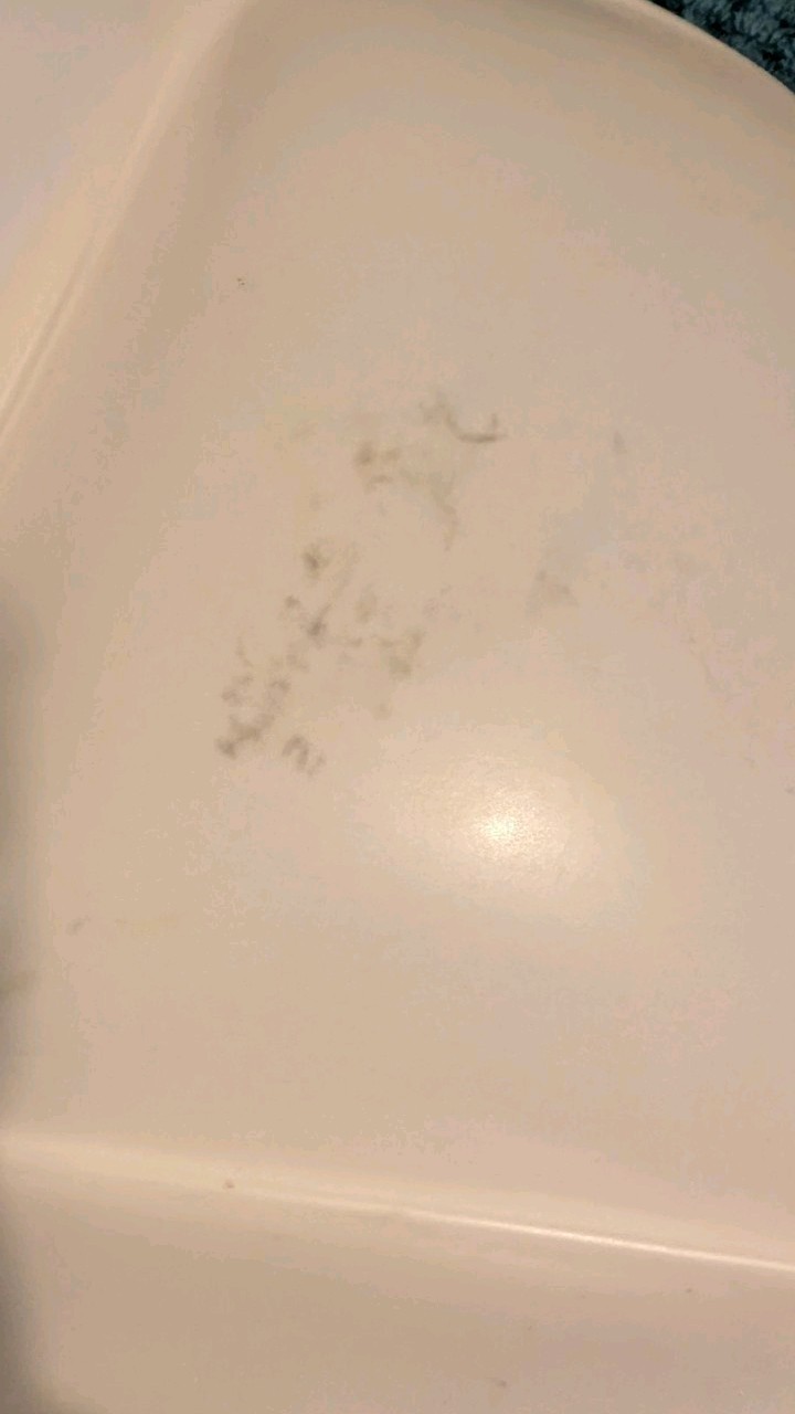 Picture 5 of 7