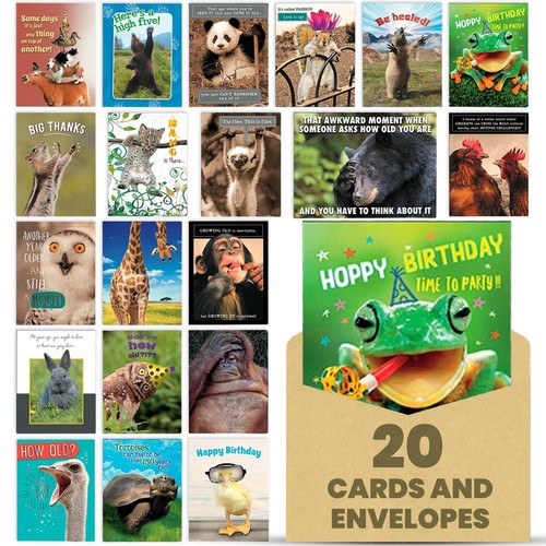 Wildly Funny - Made In USA - 20 Assorted Cards with Envelopes All Occasion, B...