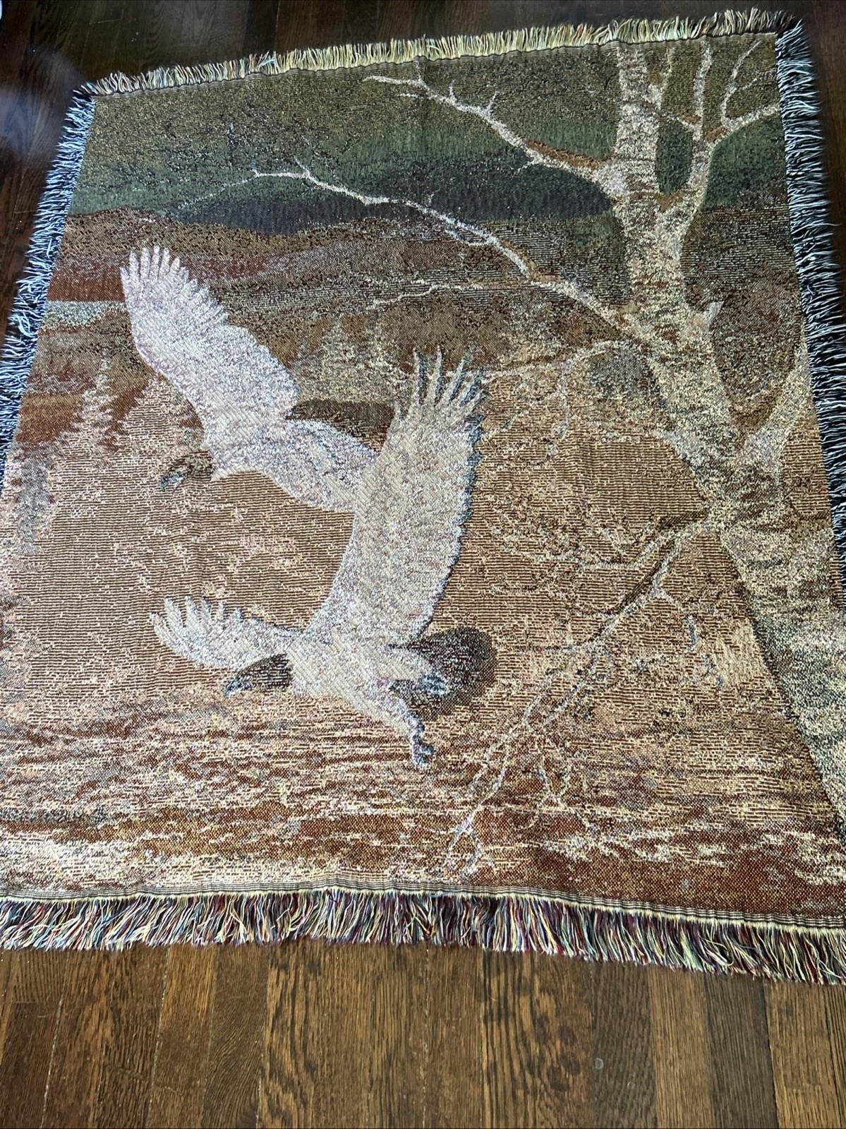 Picture 4 of 5