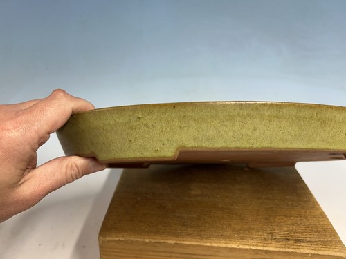 "Maceta de árbol bonsái Tokoname esmaltada amarilla Reiho 14 5/8""" - Imagen 2 de 15