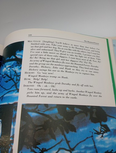 WIZARD OF OZ 50TH 1989 ANNIVERSARY WITH ORIGINAL SCRIPT & SONGS RARE COLLECTION - Bild 15 von 24